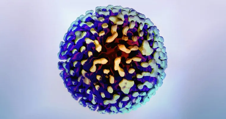 Signs And Symptoms Of Hepatitis C